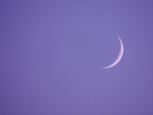 Luna Nueva ideal para sembrar propósitos Luna Nueva ideal para sembrar propósitos