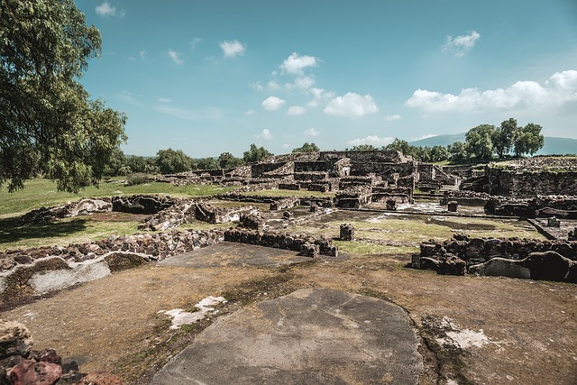 Filtros naturales - Los Maya Filtros naturales - Los Maya